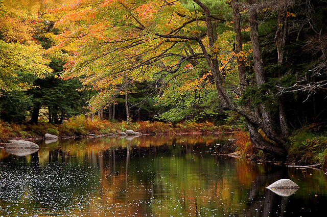 Kejimkujic National Park