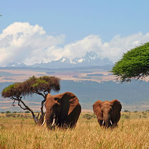 Laikipia-Plateau