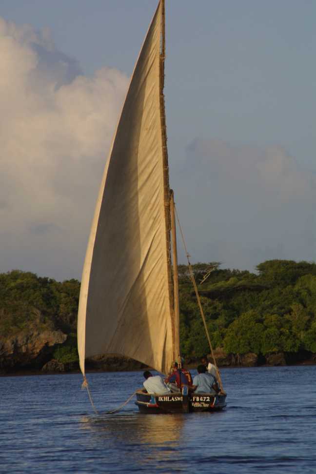 Lamu dhow